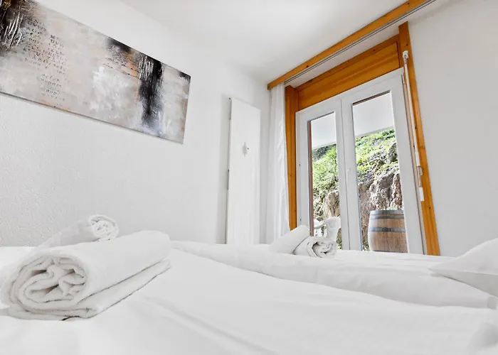 Paisible Au Pied Des Pistes De 公寓 *