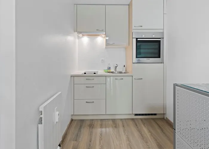 Paisible Au Pied Des Pistes De *