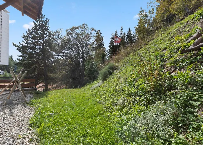 公寓 Paisible Au Pied Des Pistes De 克莱恩 蒙塔纳